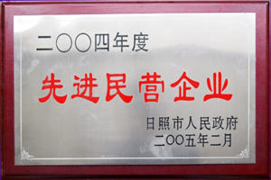 2004年度先进民营企业.jpg