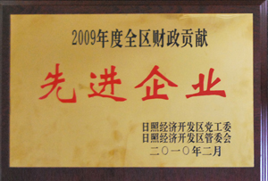 2009年度全区财政贡献先进企业.jpg