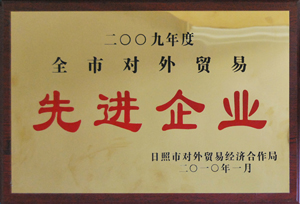 2009年度全市对外贸易先进企业.jpg